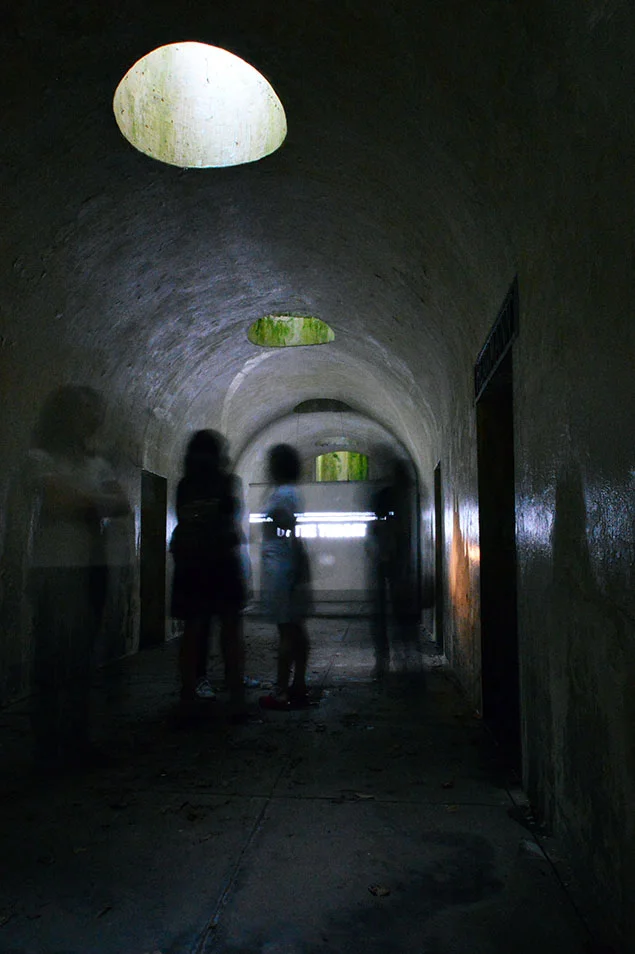 Michele Gorman's This is My House of Green Grass: The Raw Retrieval of the Civil War