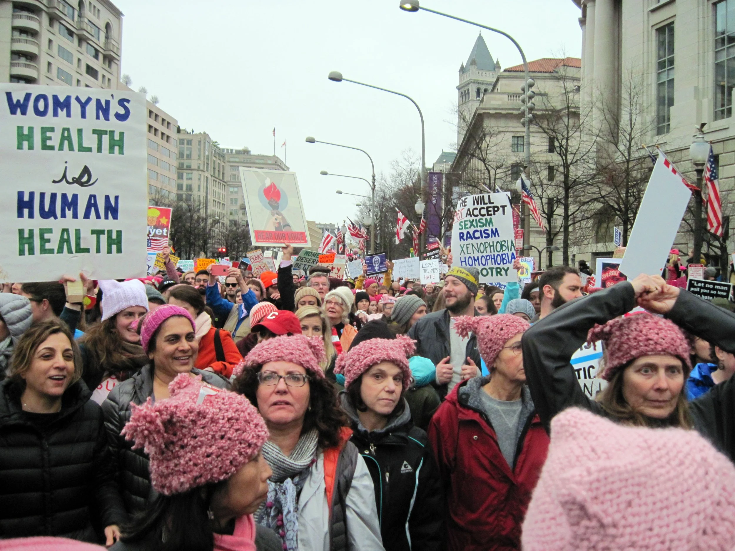 Thoughts after the Women's March