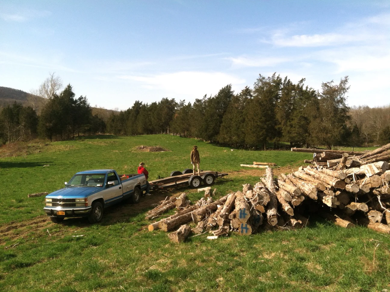 The Wood Whisperer: Megan Offner Harvests Regenerative Business Practices and Forestry Strategies