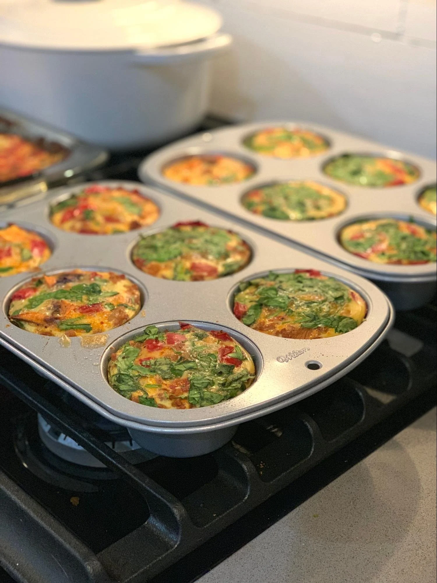 LOWCALORIE BREAKFAST IDEAS FOR TRACKING MACROS & HIGHPROTEIN