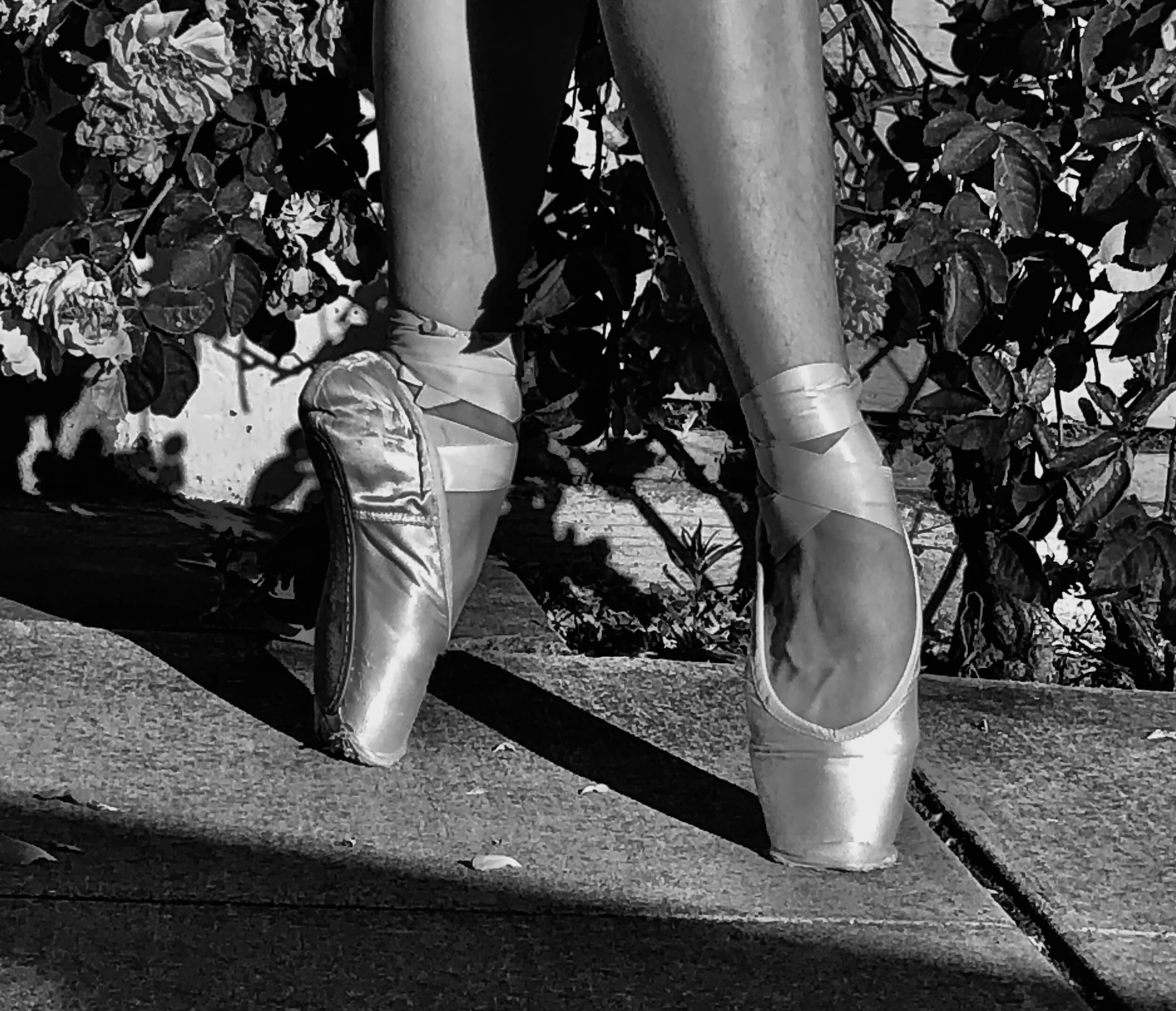 Yummy Summer Reading