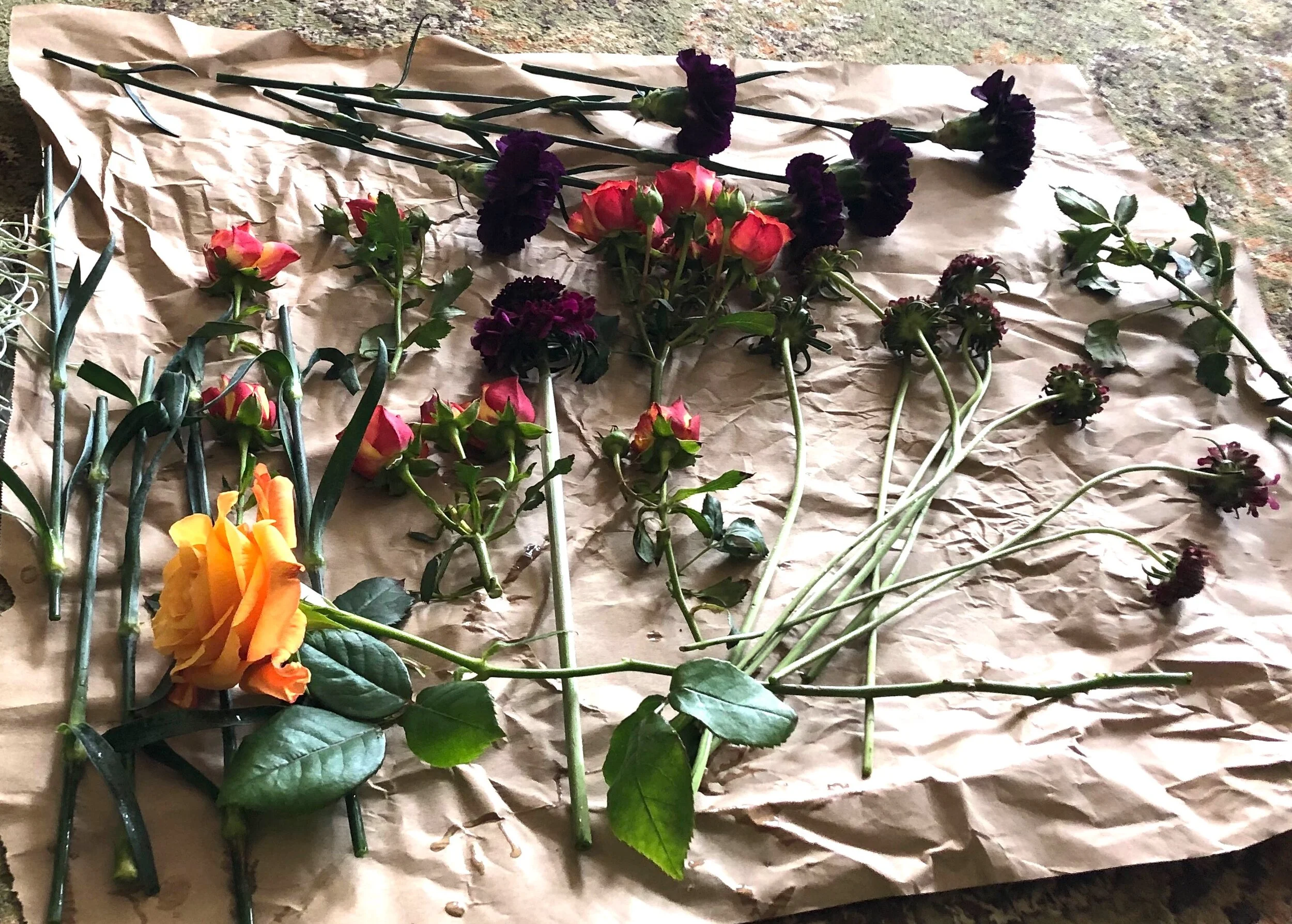 From the Land of New Normal