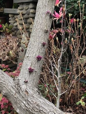 What's new, now, and next?