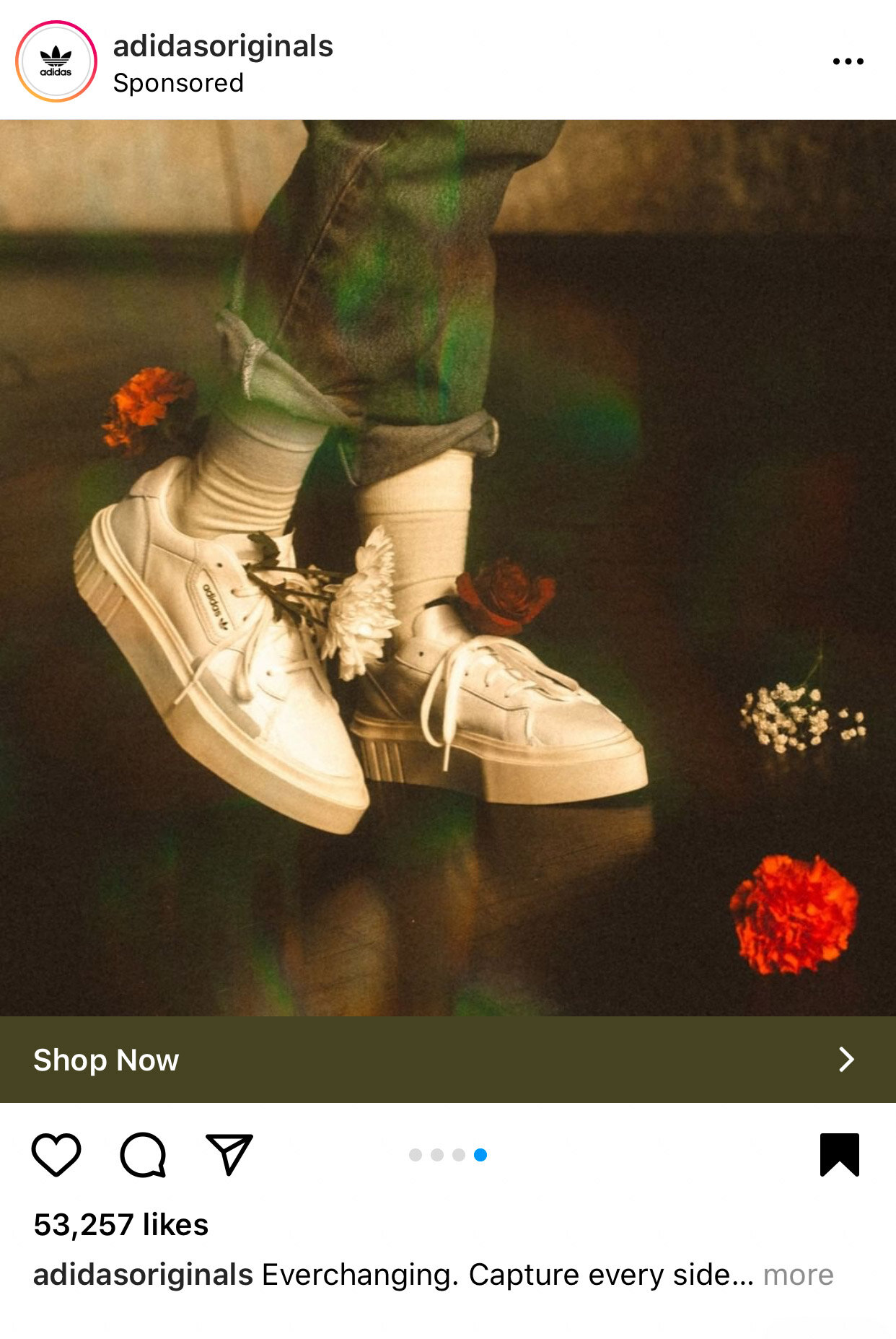 didas-19.jpg