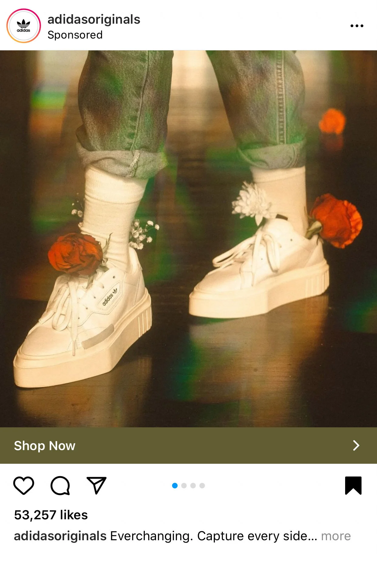 didas-16.jpg
