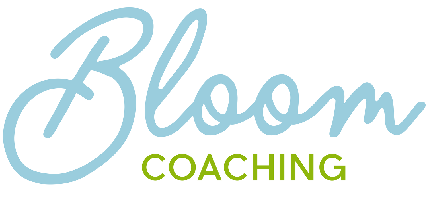 Bloom Coaching