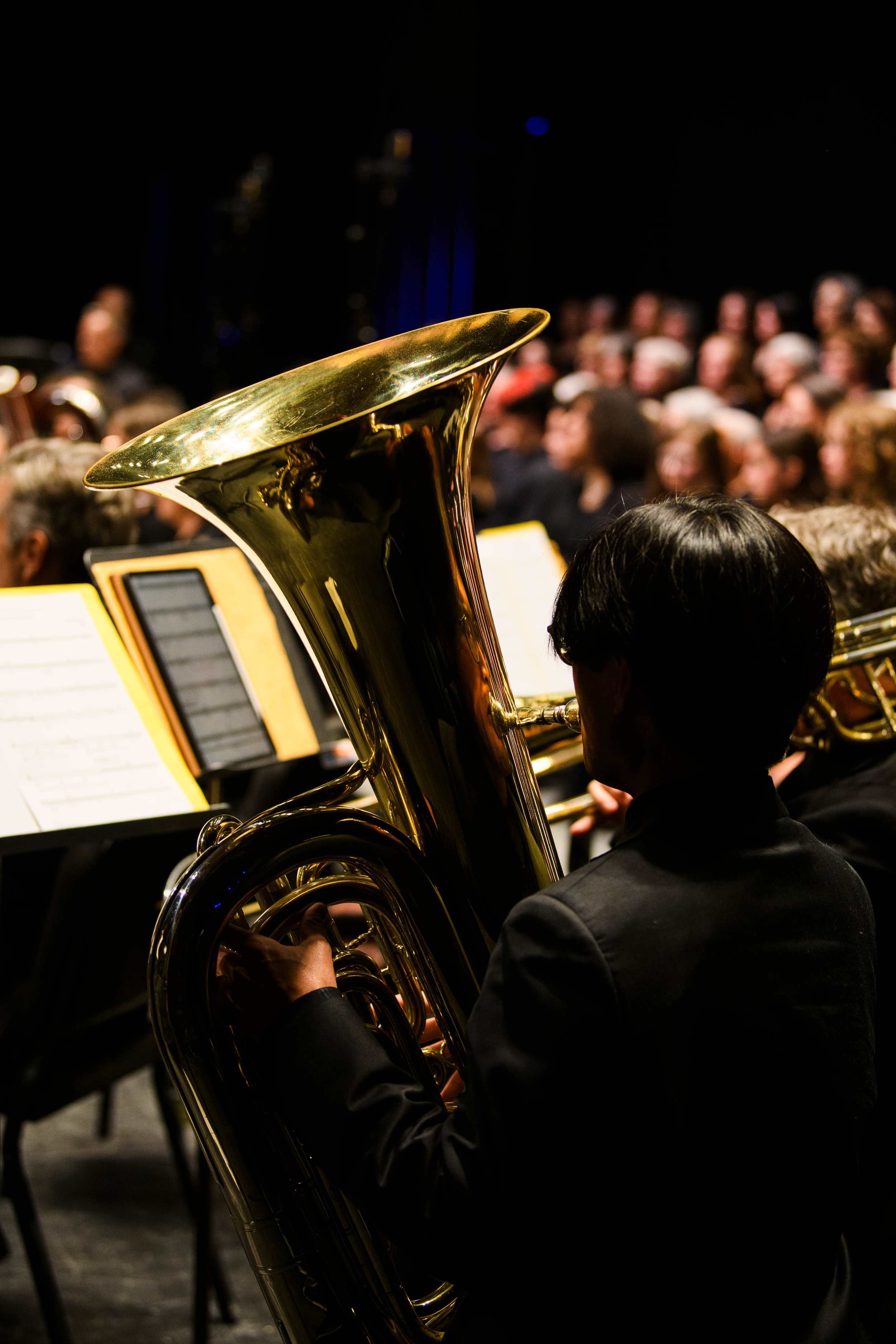VSO-7203.jpg
