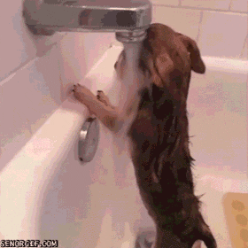 blog_3.gif