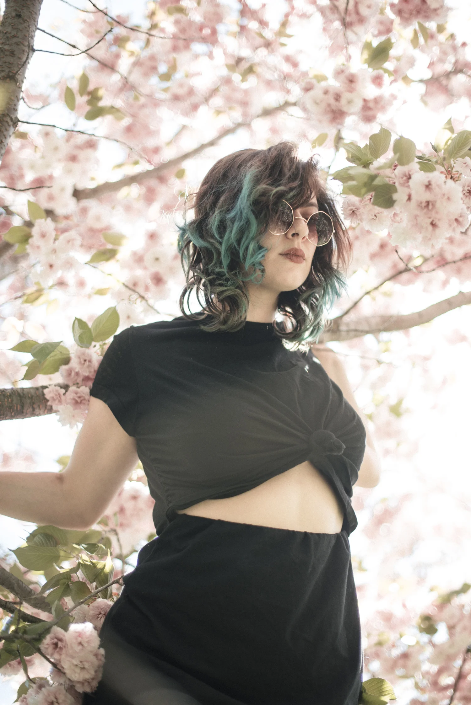 In the Lilacs with Julia from Follow Your Fork