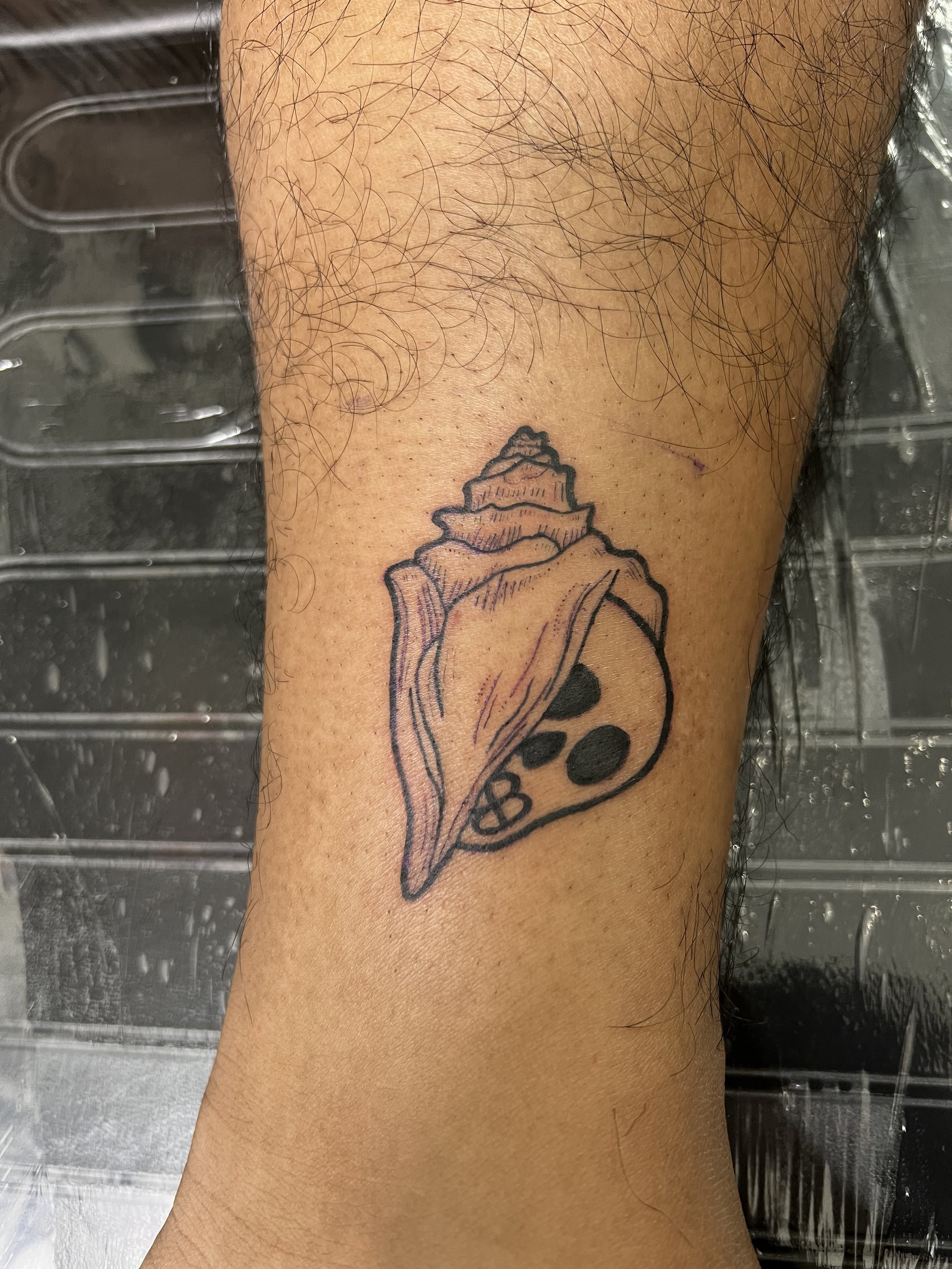Share more than 160 conch shell tattoo latest