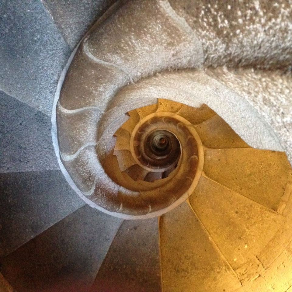 1512640_10151851680636921_1278720997_n.jpeg
