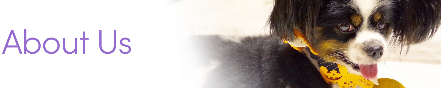 about.png