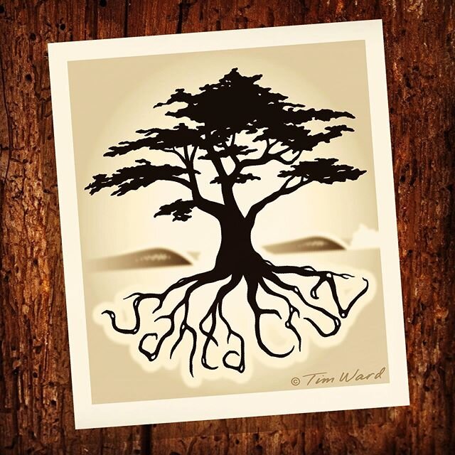 c  y  p  r  e  s  s
.
.
#cypress #timward #timwardart #cypresstree #santacruz #montereybay #california #surfing #penandink #adobeillustrator #surfart #artistsoninstagram #lifeatsea #cleanocean #waves