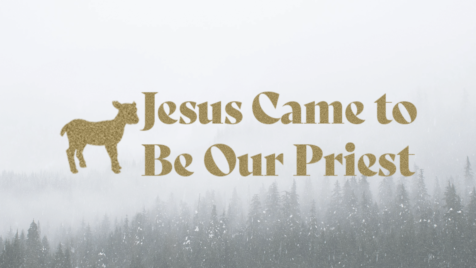 Jesus Came to Be Our Priest