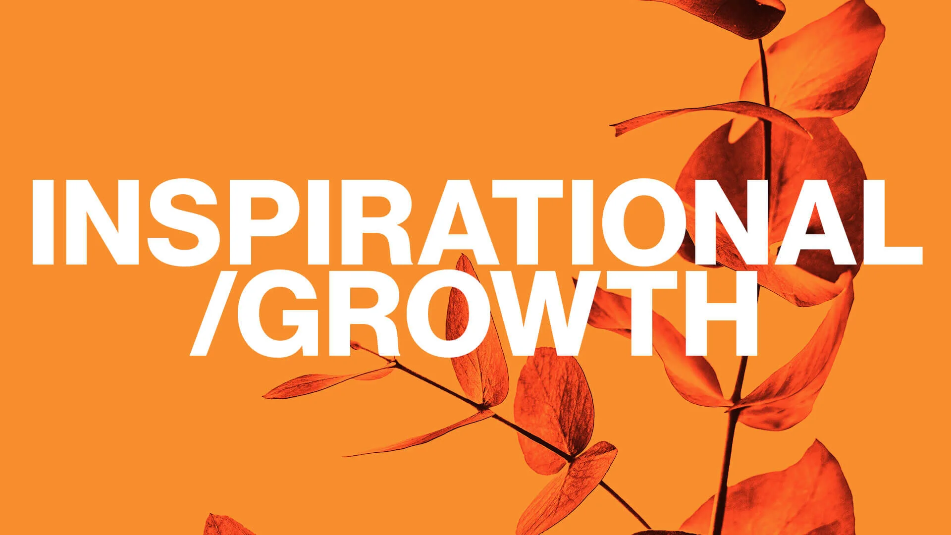 Inspirational/Growth