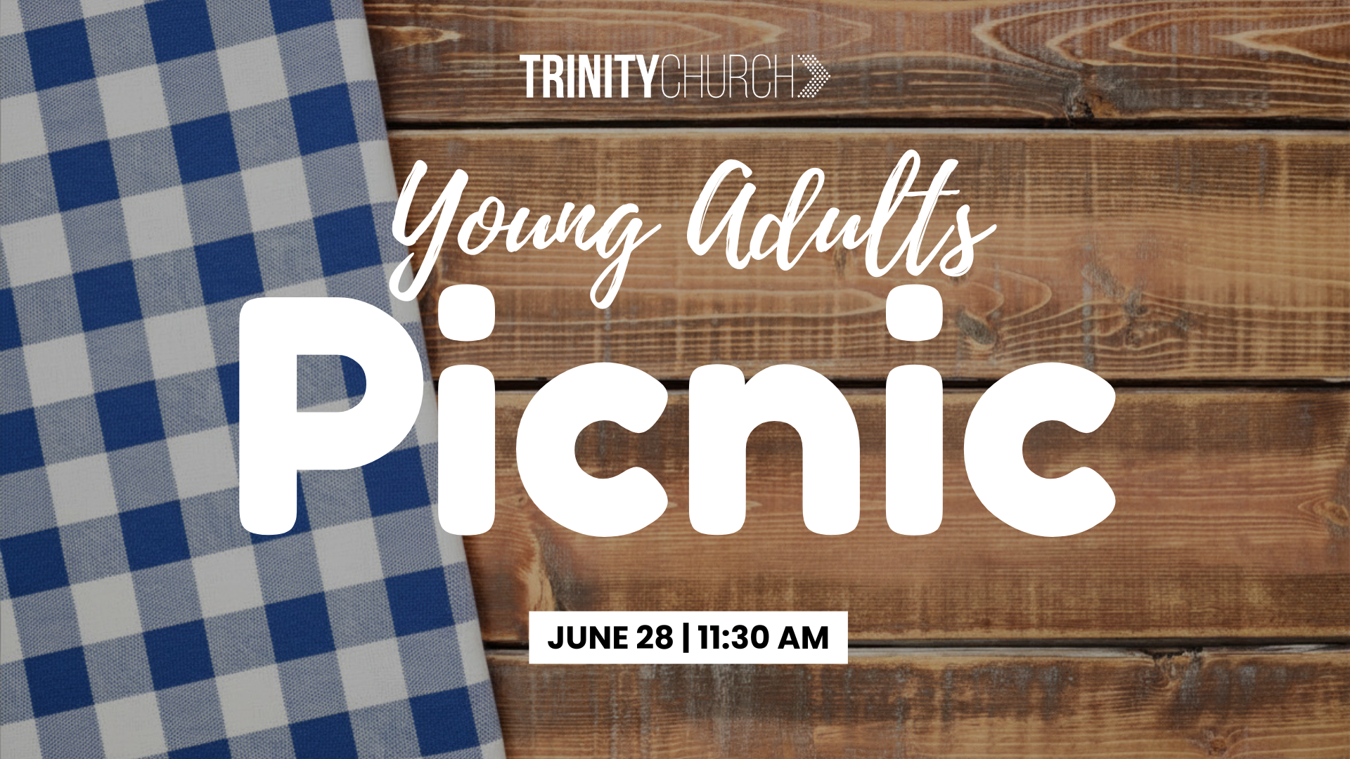 Young Adults Picnic