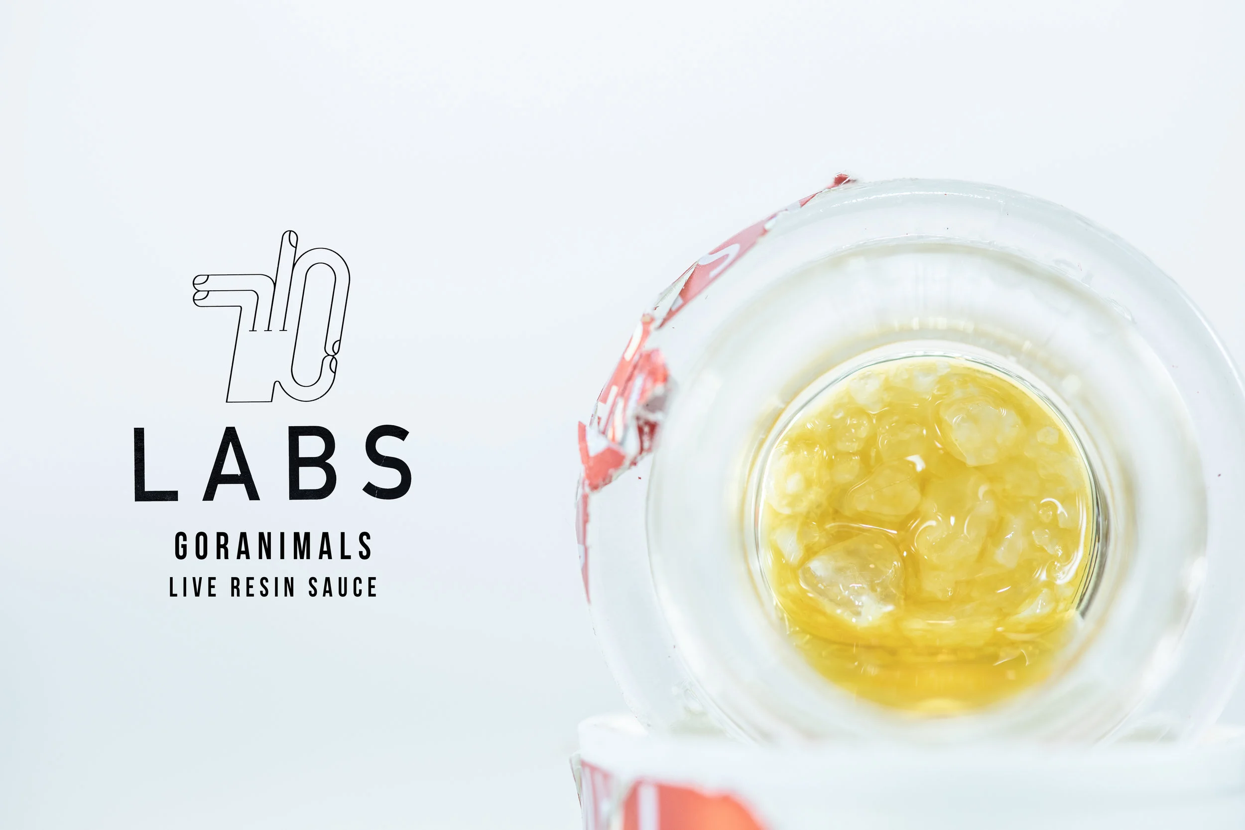 710_LABS_GORANIMALS-SAUCE.jpg