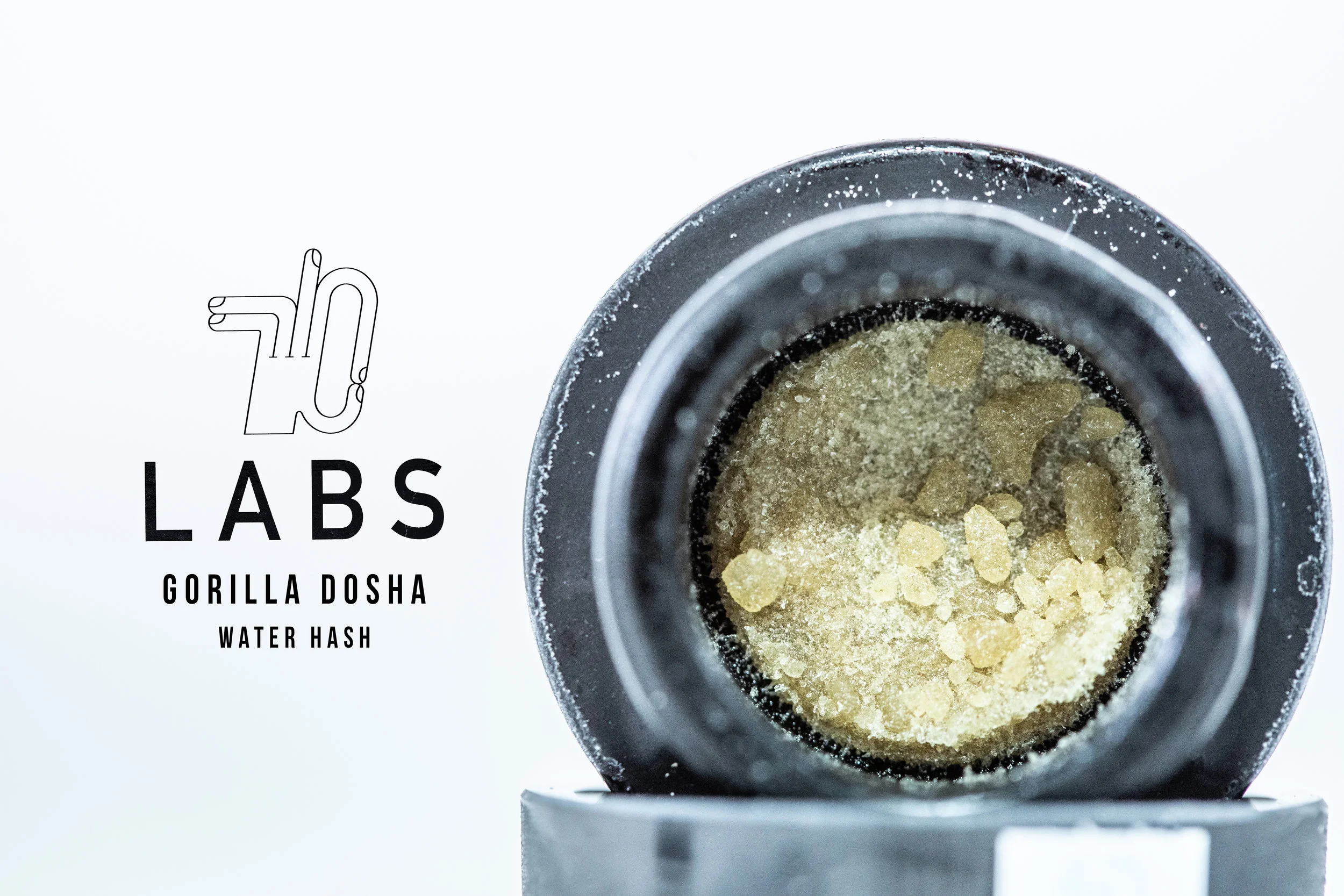 710_LABS_GORILLA_DOSHA-HASH.jpg