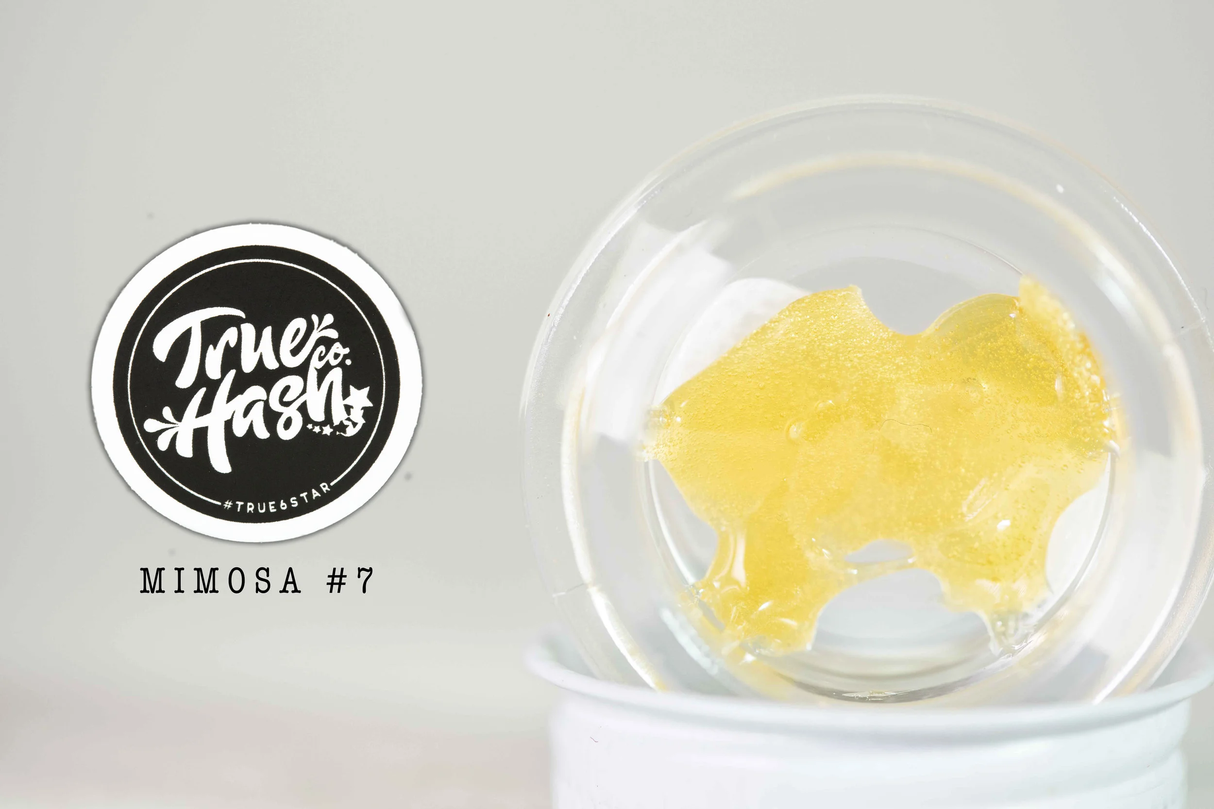 TRUE-HASH-MIMOSA-#7psd.jpg