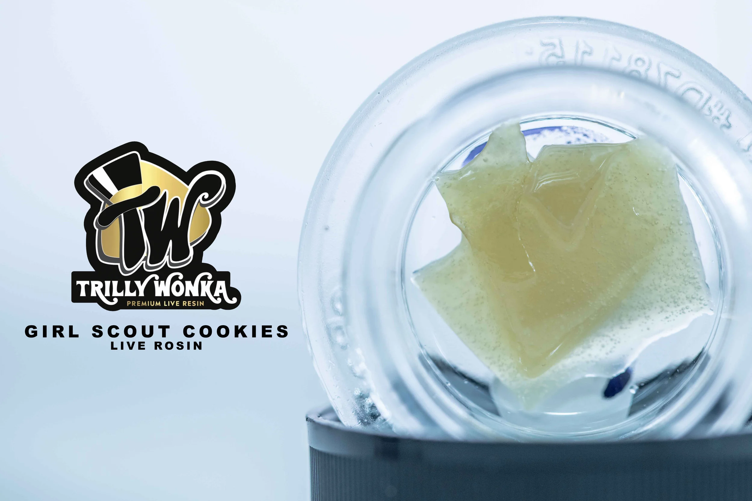 TRILLY-WONKA-LR-GSC.jpg