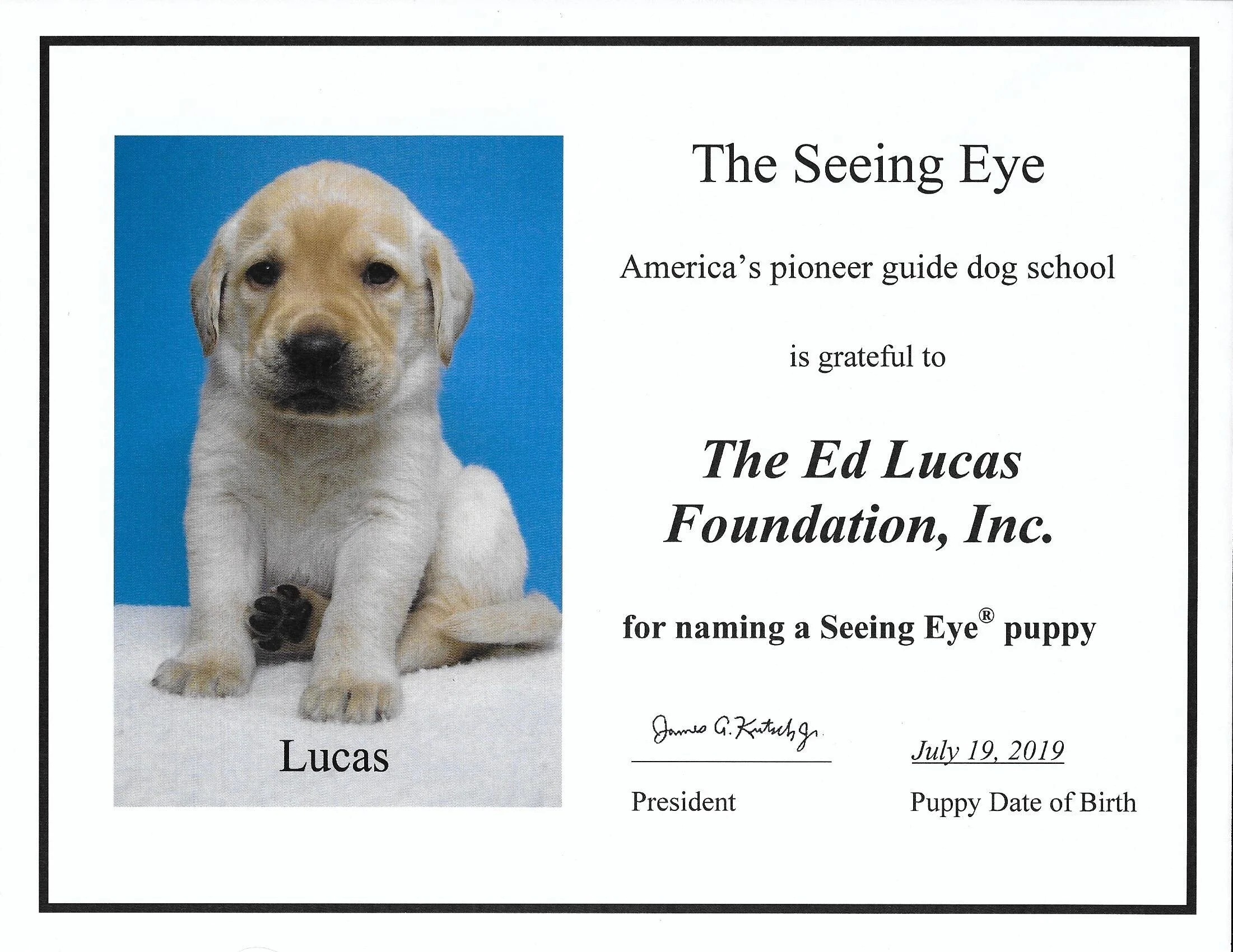 LUCAS+-+puppy+born+7-19-19.JPG