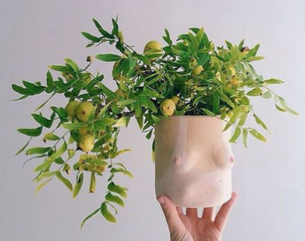 boob planter