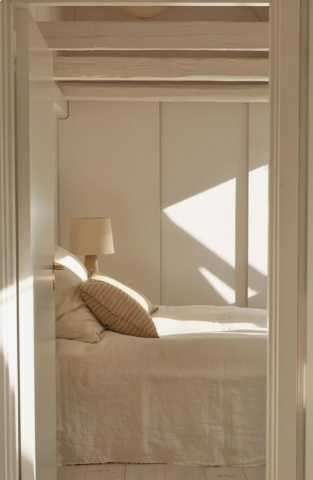 color story: garlic/ the modhemian