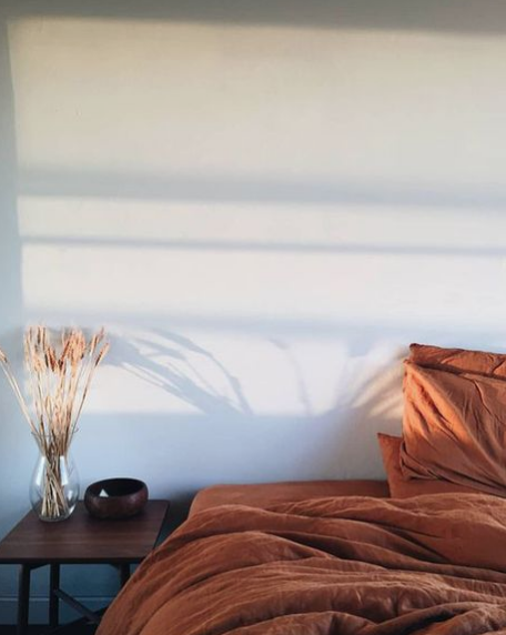 @designlovefest gives us this pretty light on that gorgeous must have burnt orange linen bedding!