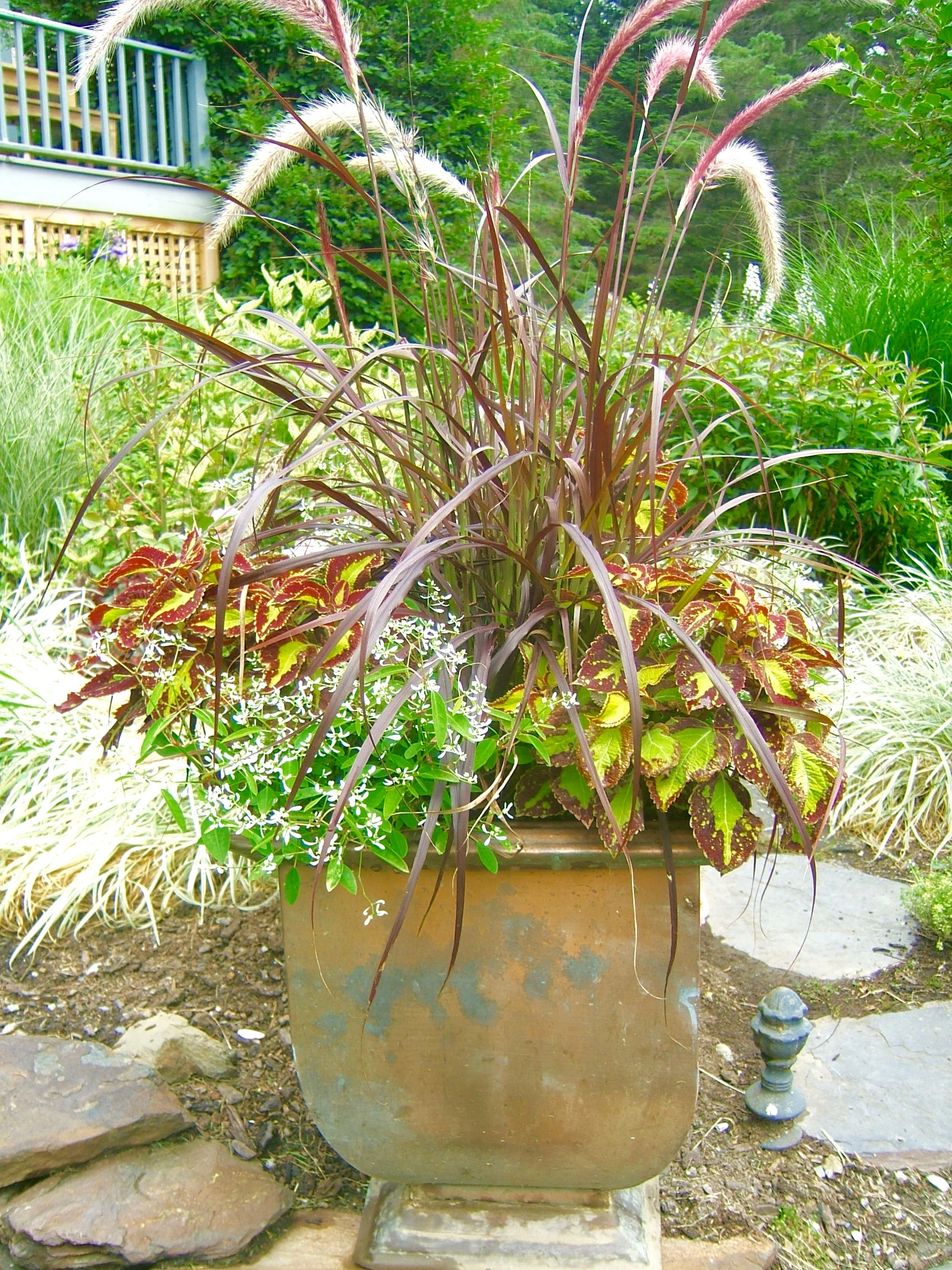 DSCF6067.jpg