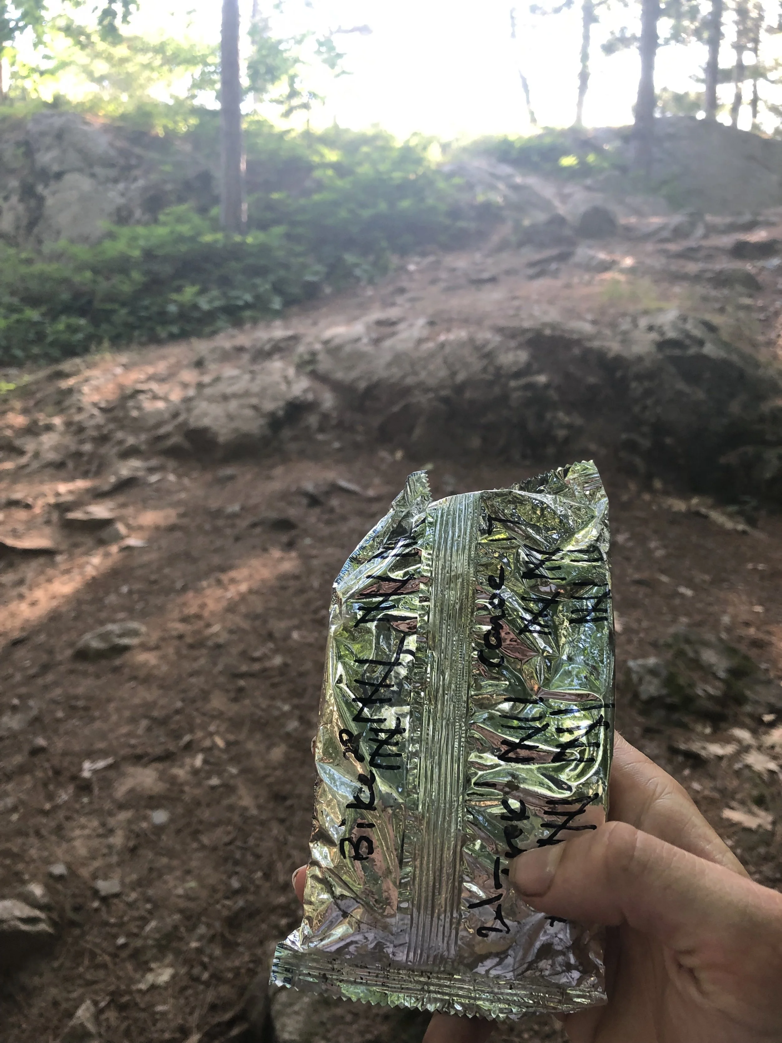 Pop Tart at the Top of the World