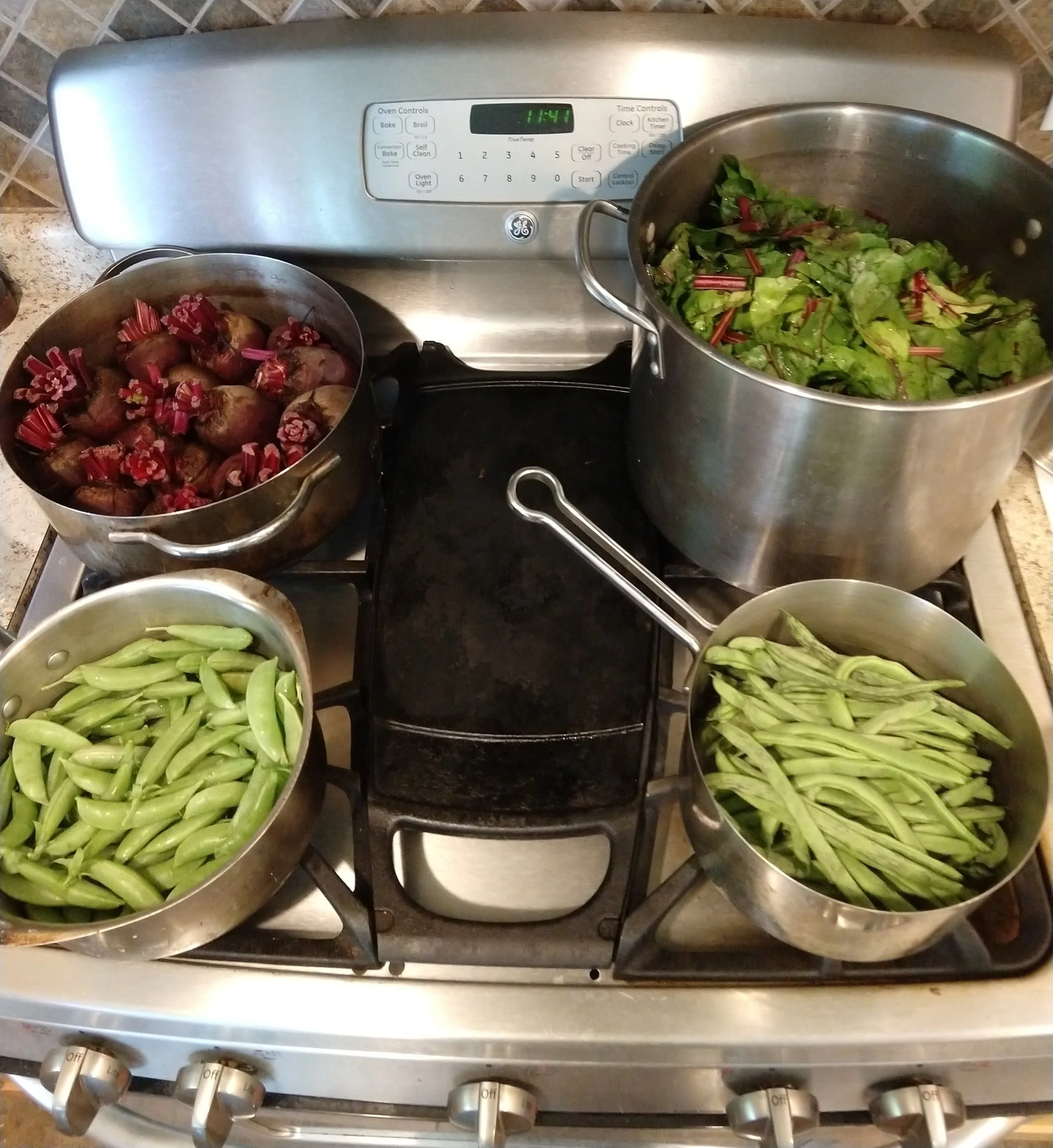 We love our gas stove, but this picking is too much to do all at once. So we’ll save the beets for another day.