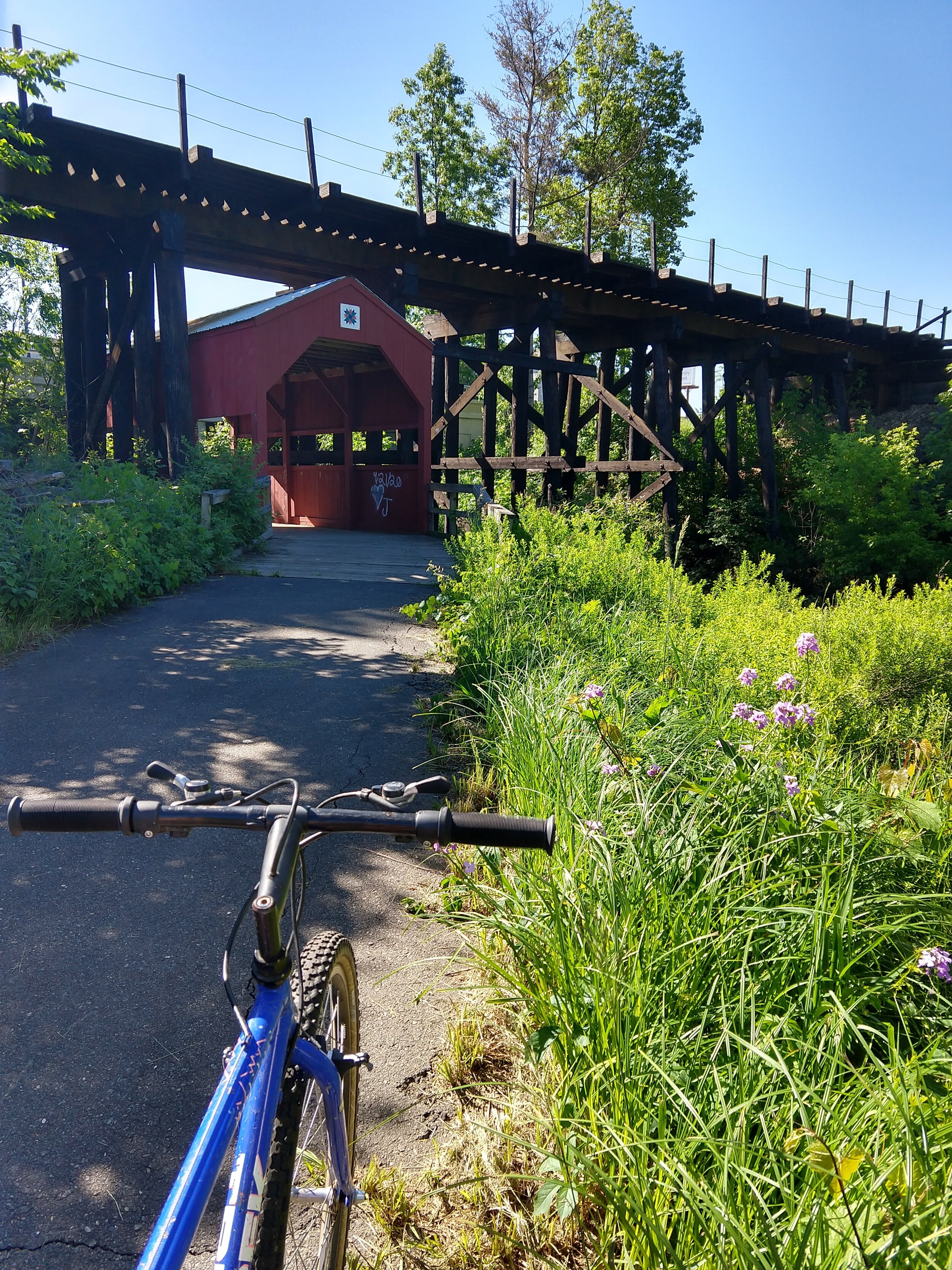 Road / bike path bike