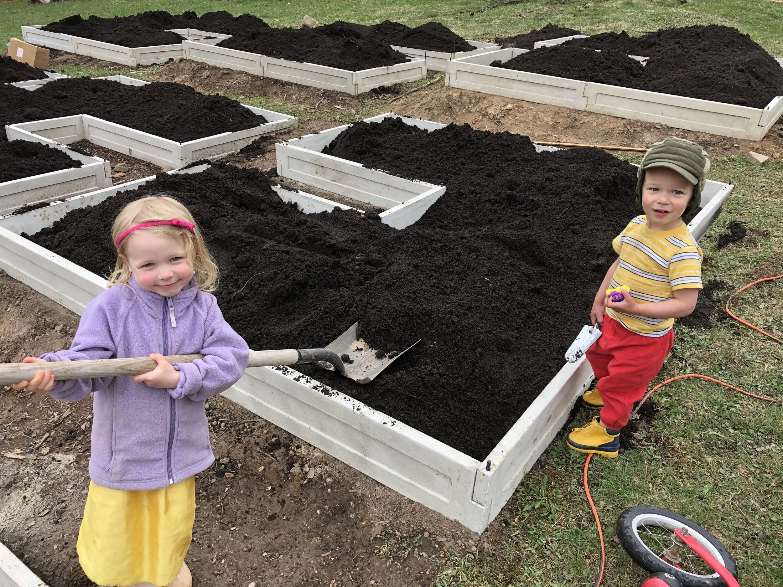 Perfect time for a garden