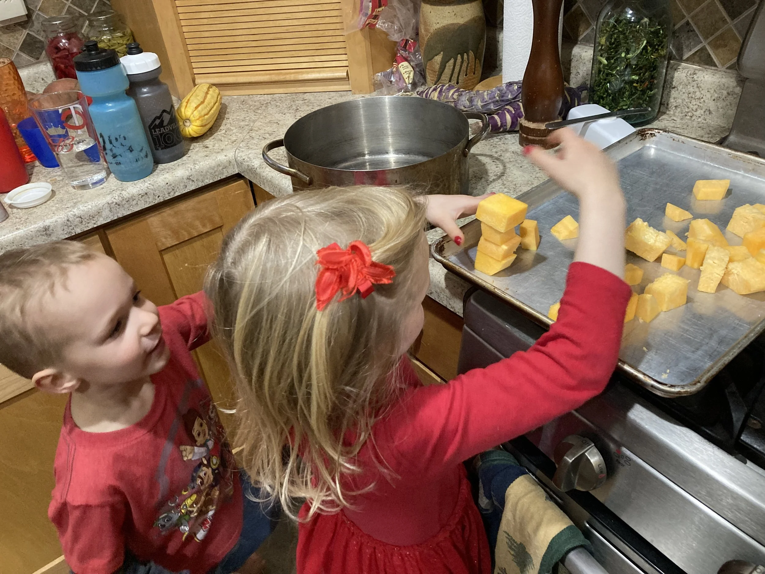 Enjoying the garden year-round