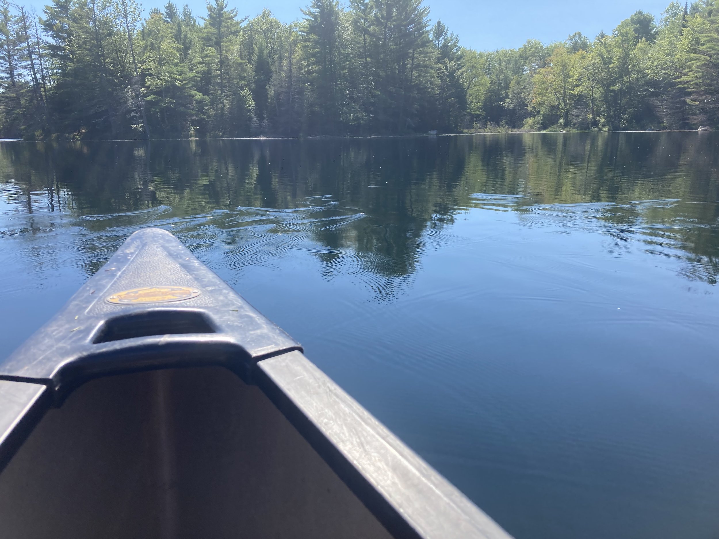 Bittersweet Lakes Family Paddle