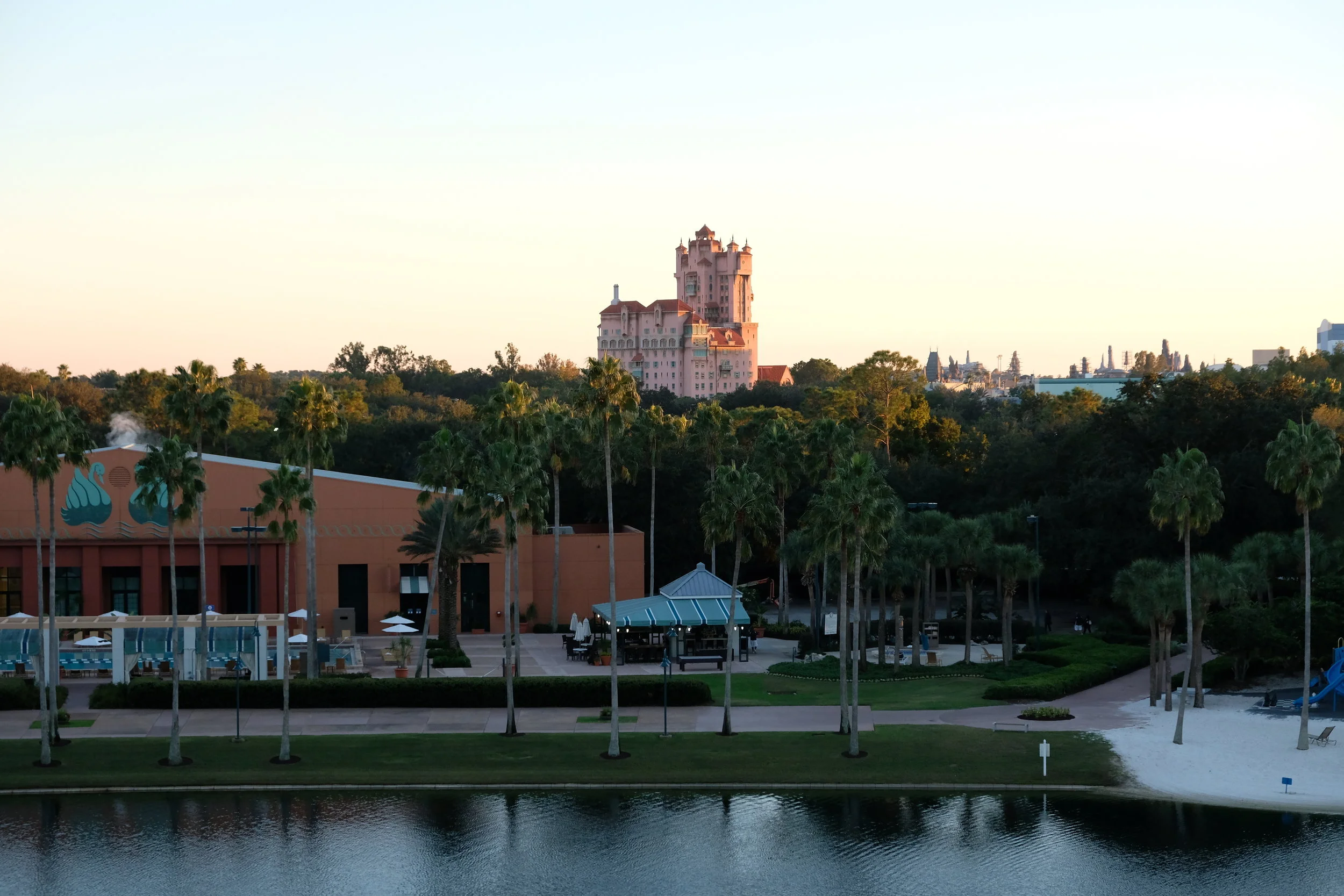 Disney World. Day 6. The giraffes were really close.