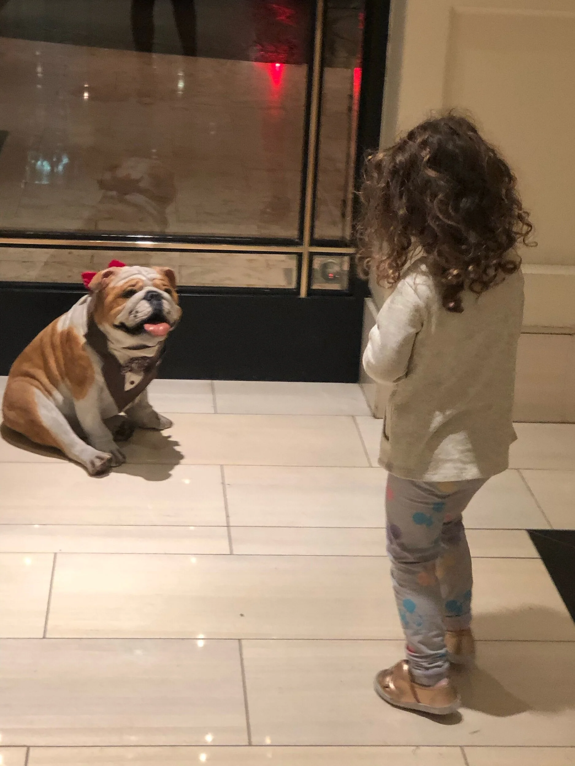 IMG_4954.jpeg