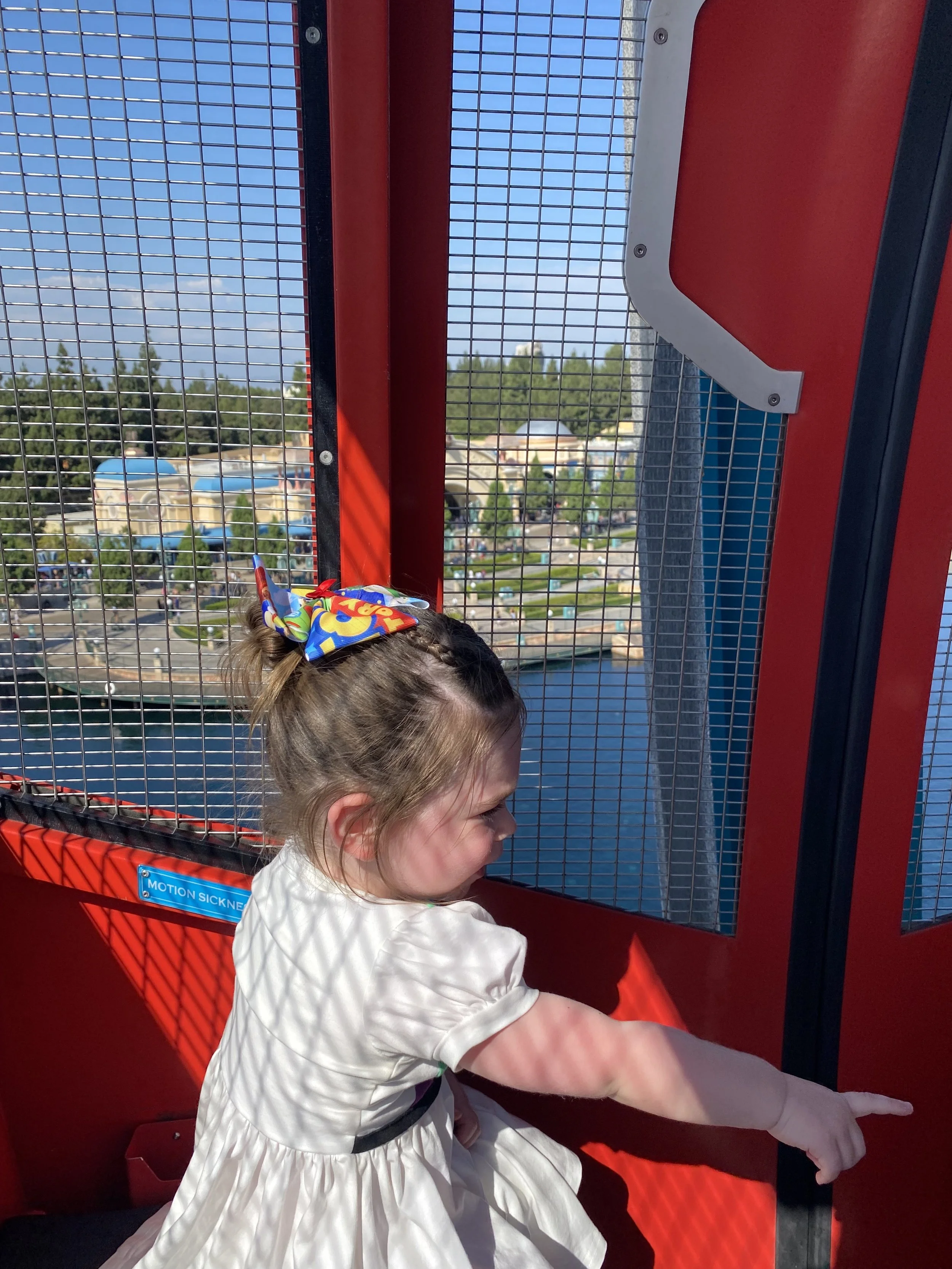 IMG_9517.jpeg