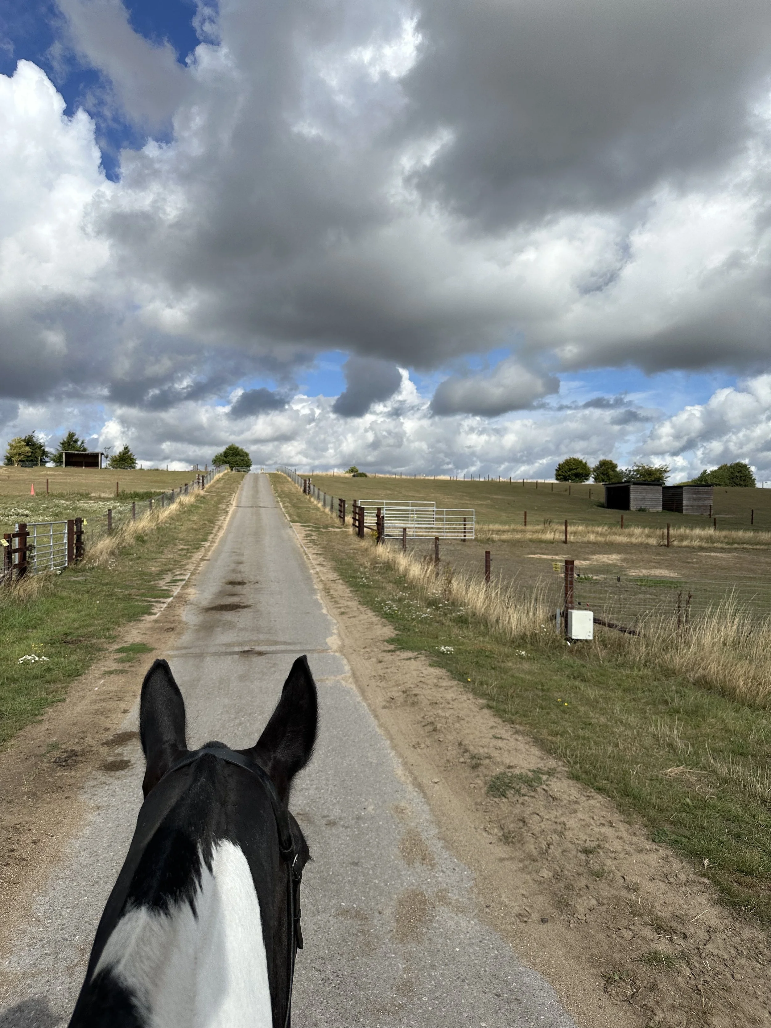 England. Day 8. Giddy up!