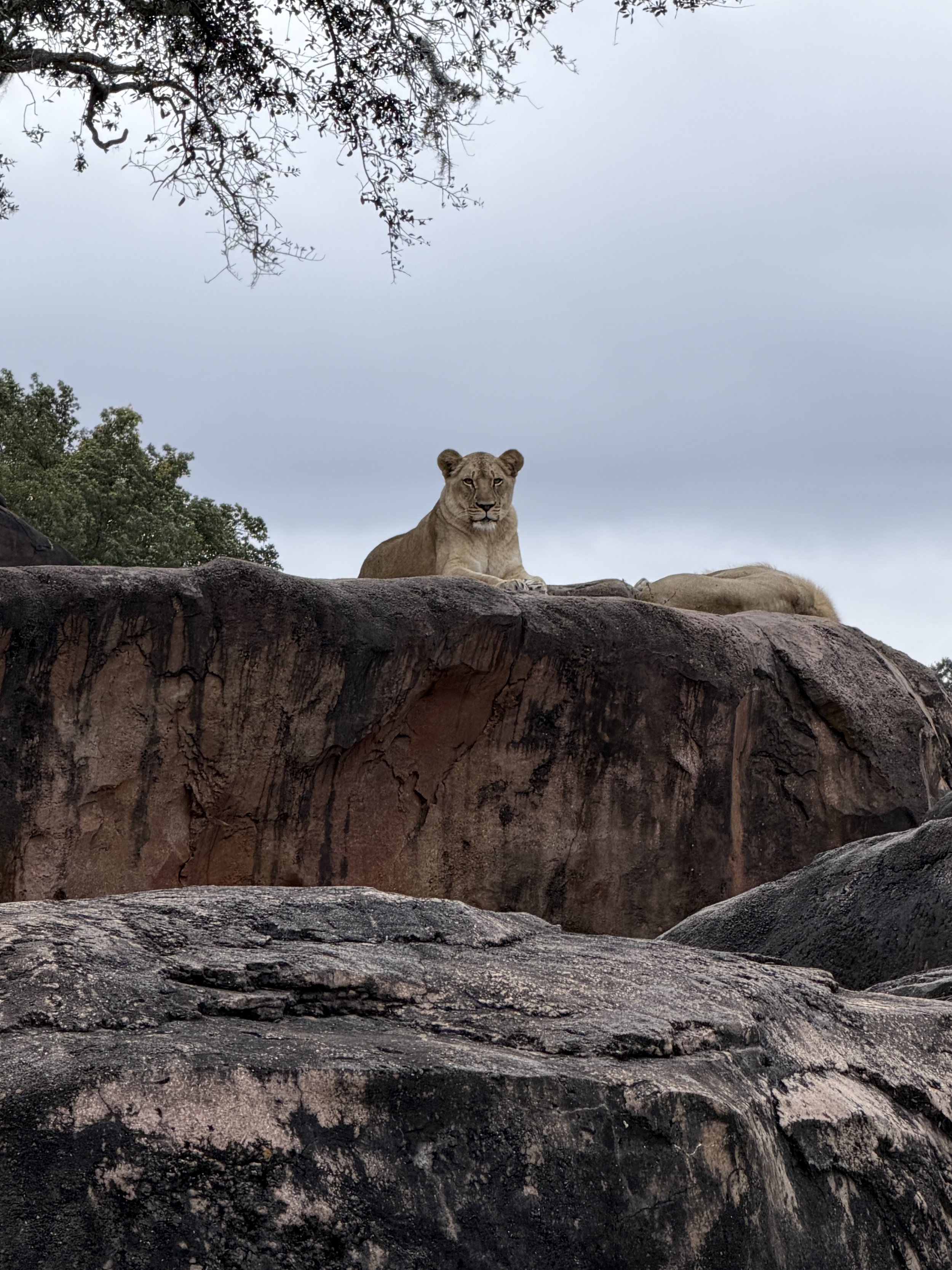 Winter Break. Part III - Days 13 and 14: What a Long, Strange Trip It's Been.