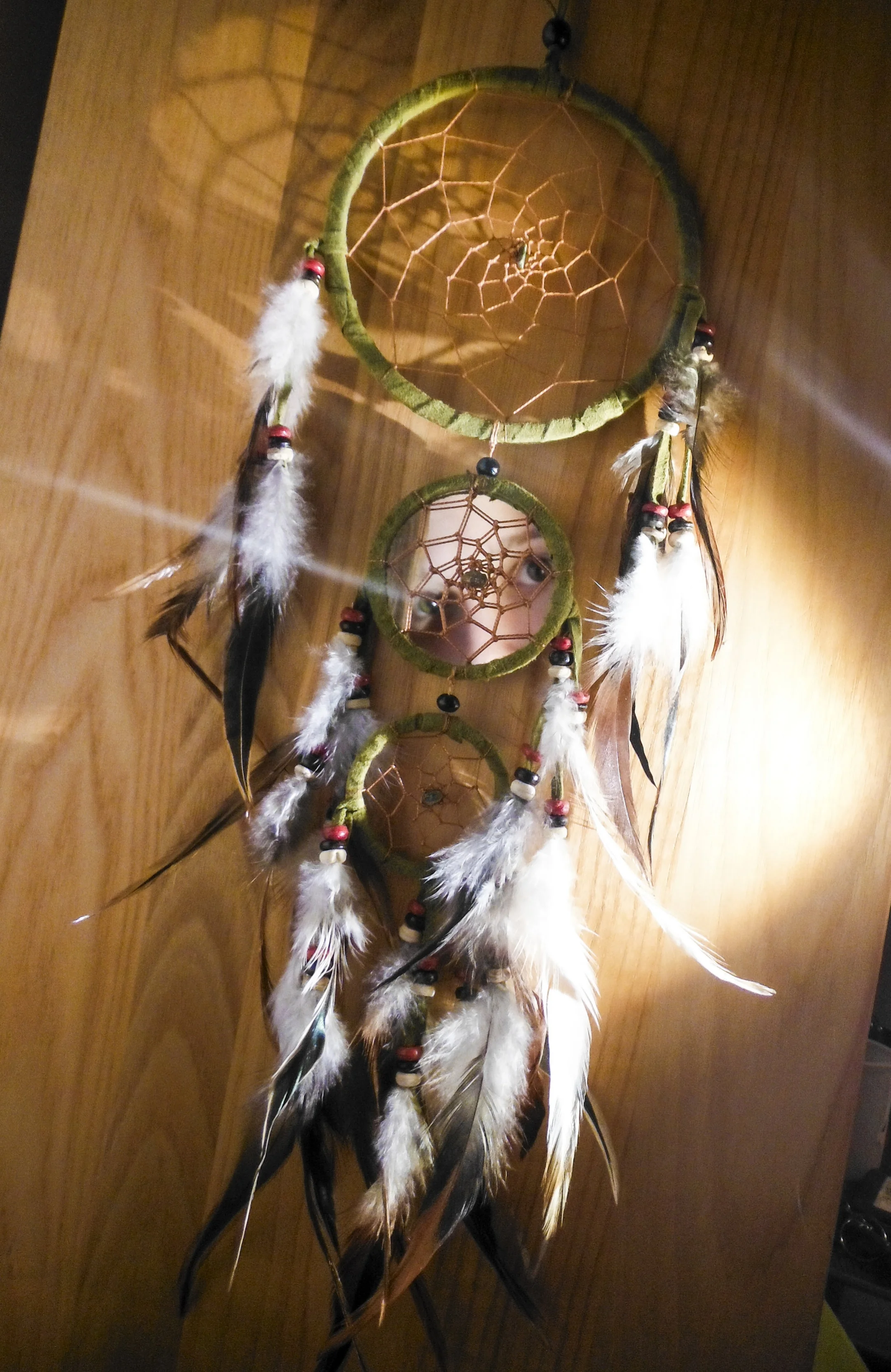 Hidden Dreams 2015