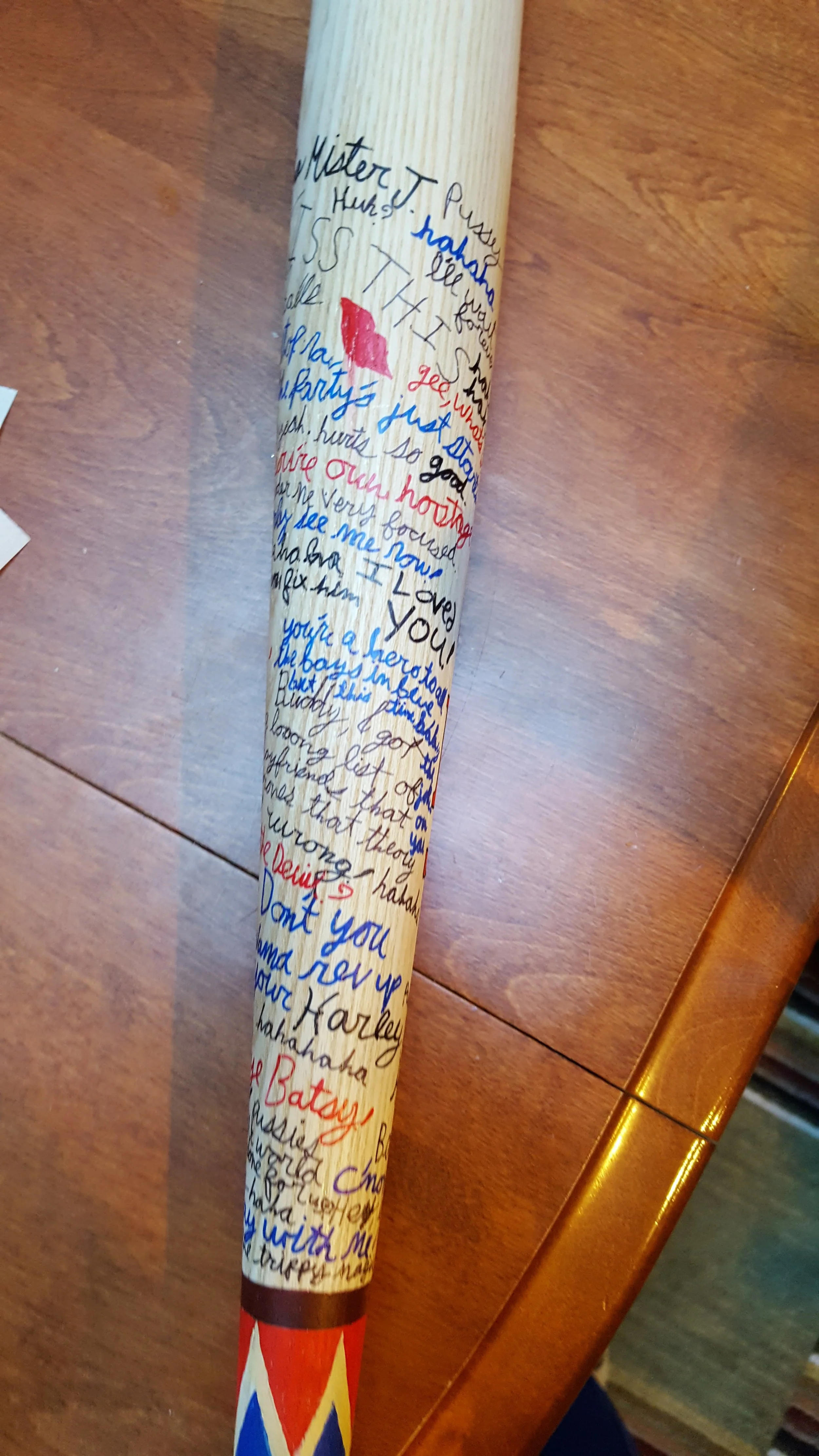 Harley Quinn Bat Project 2016