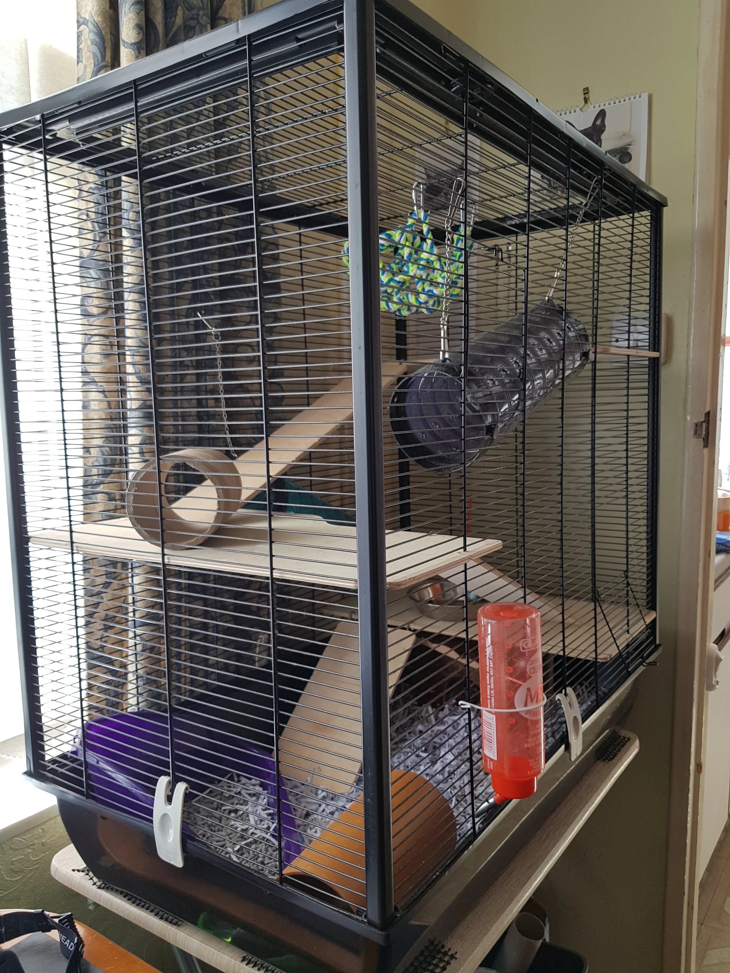 serenity dog clothes