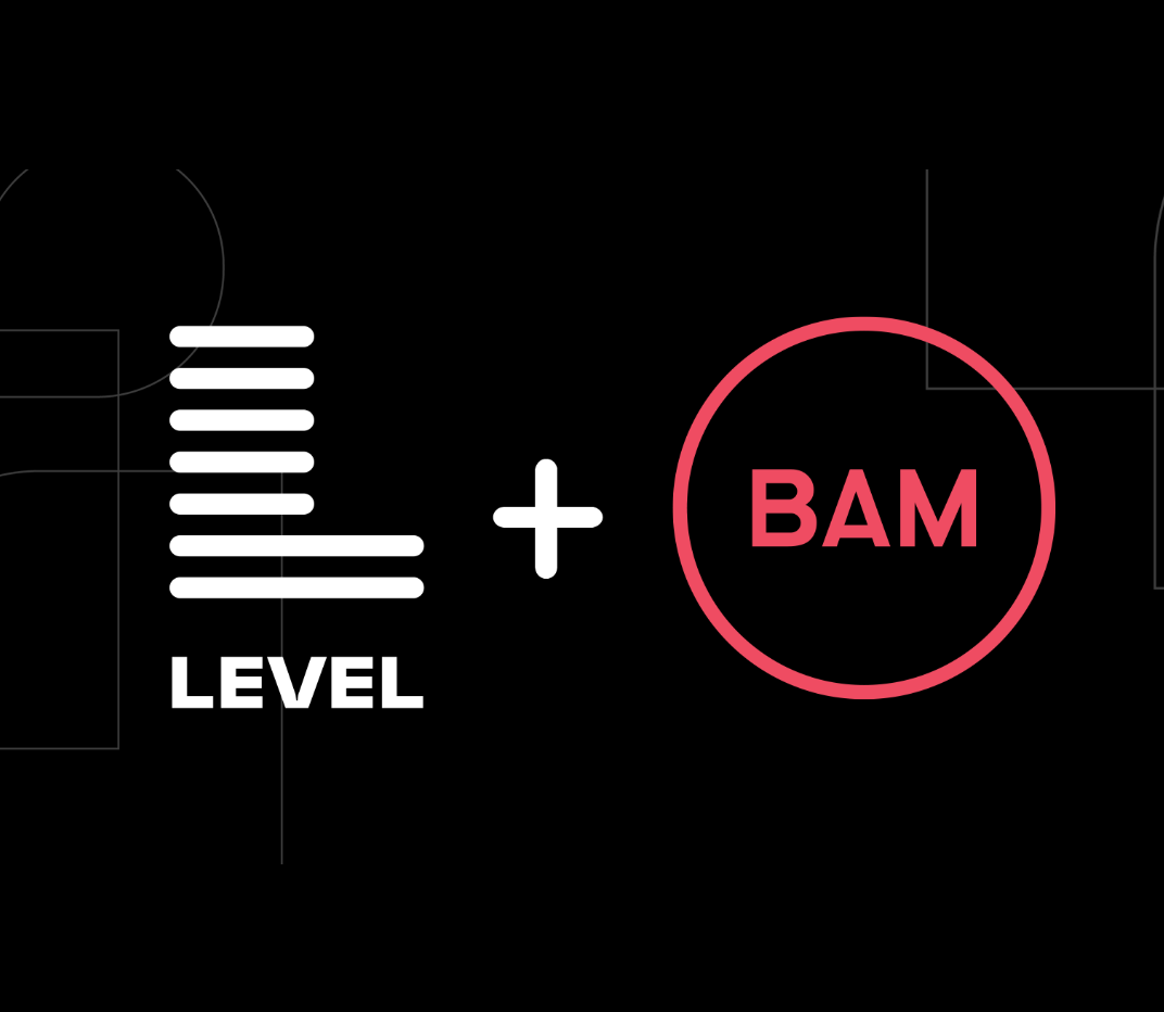 WE REPRESENTED CRM SHOP BAM STRATEGY IN ITS SALE TO LEVEL AGENCY