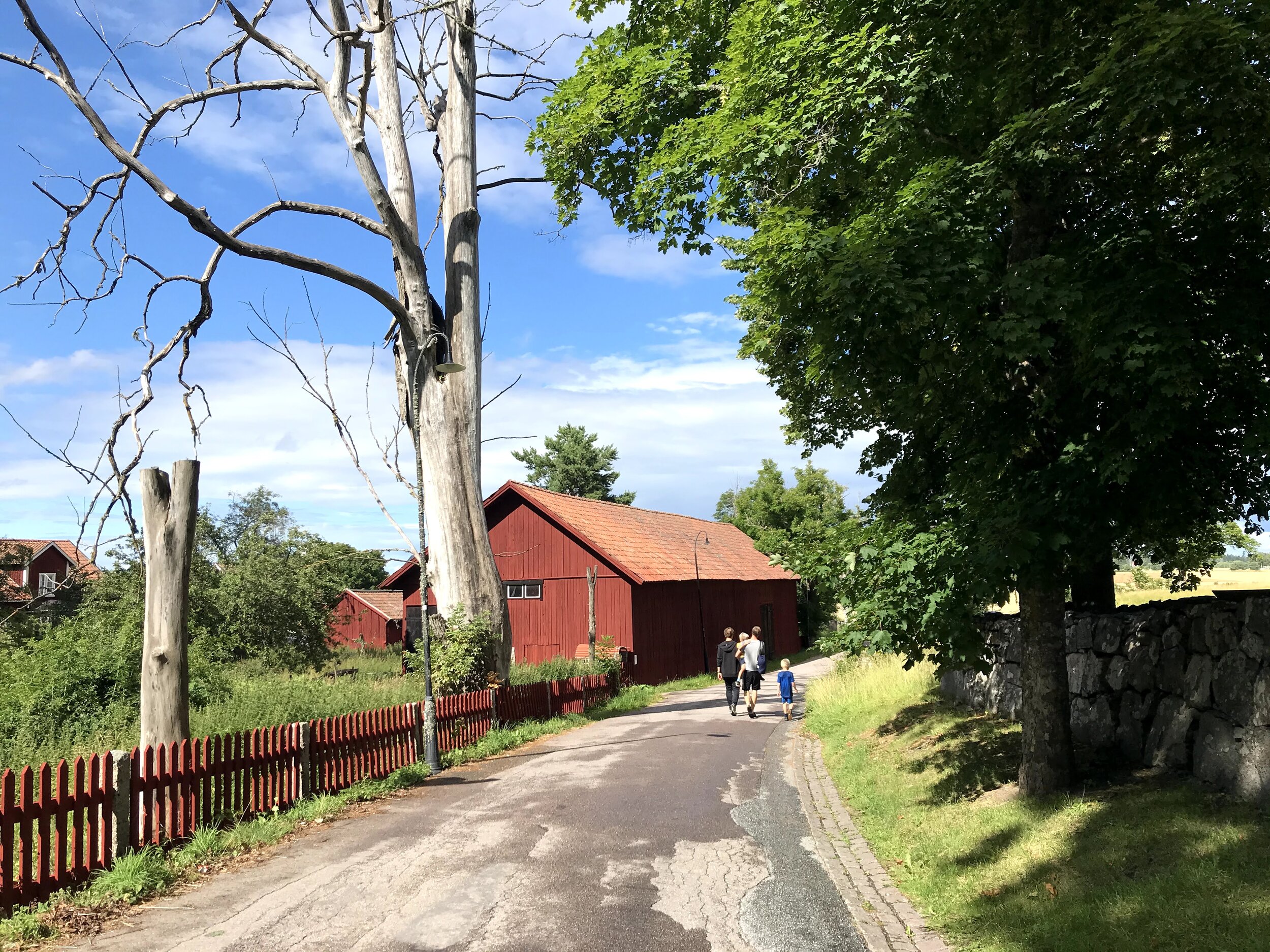 Besök på Disagården och rundvandring i Gamla Uppsala med farfar