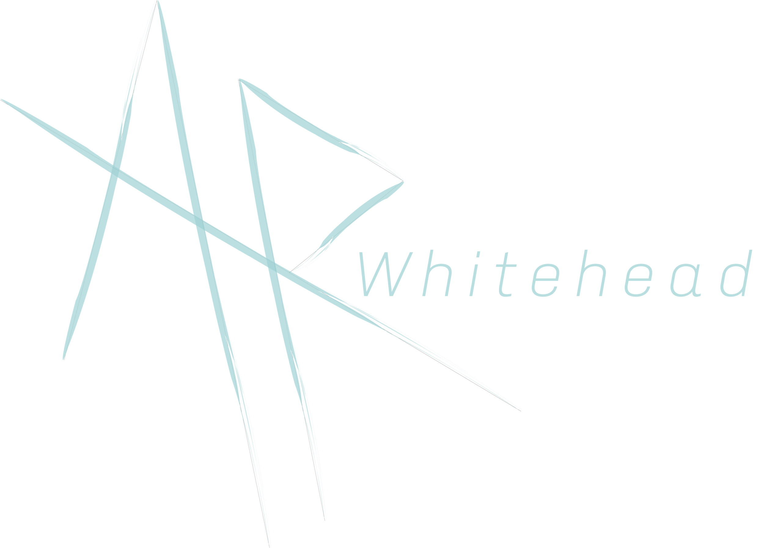 Name-Color.png