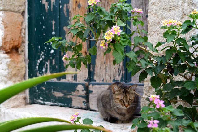 Polignano14.jpg