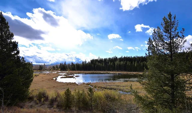5days5hikes5.jpg