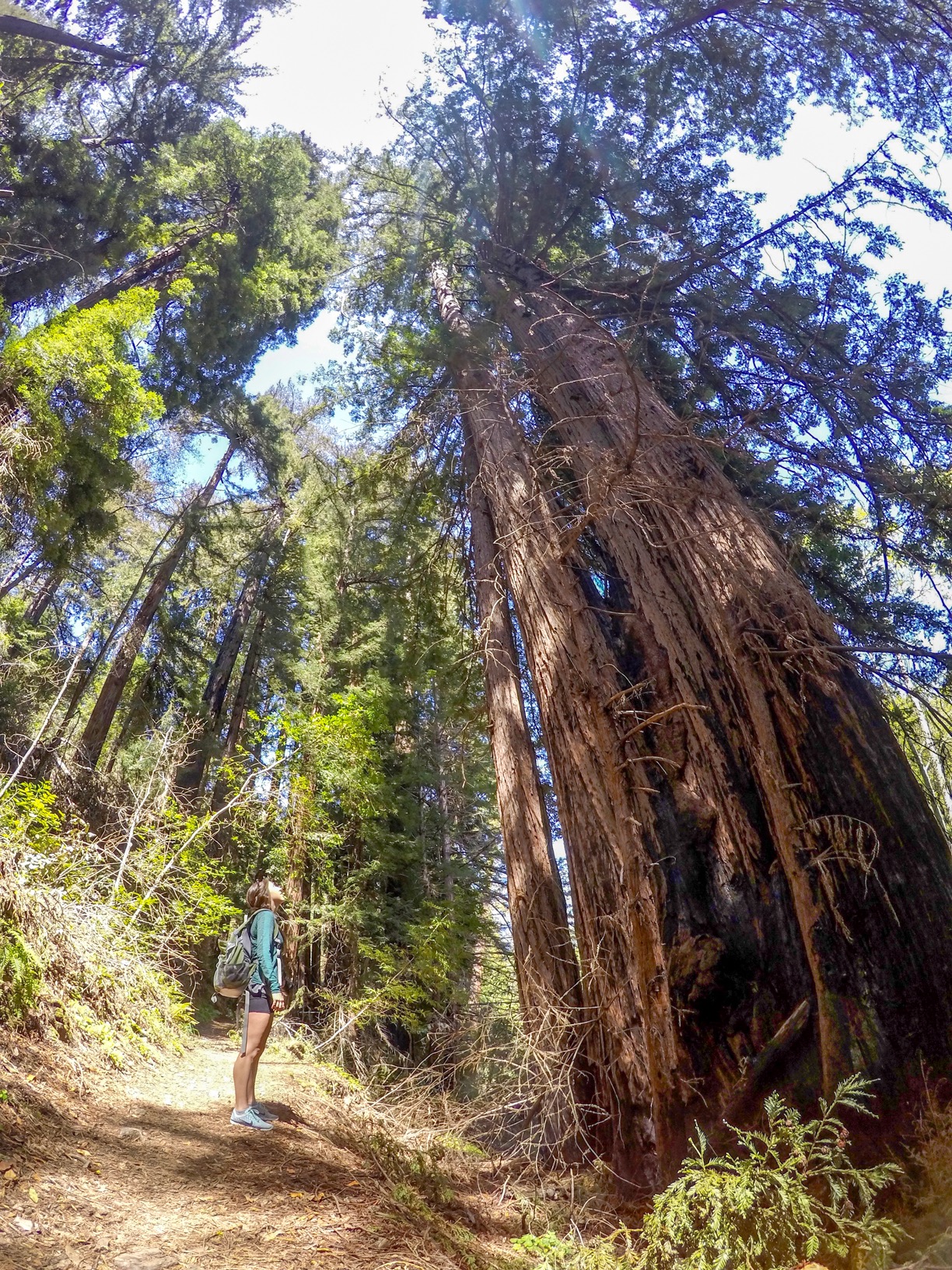California