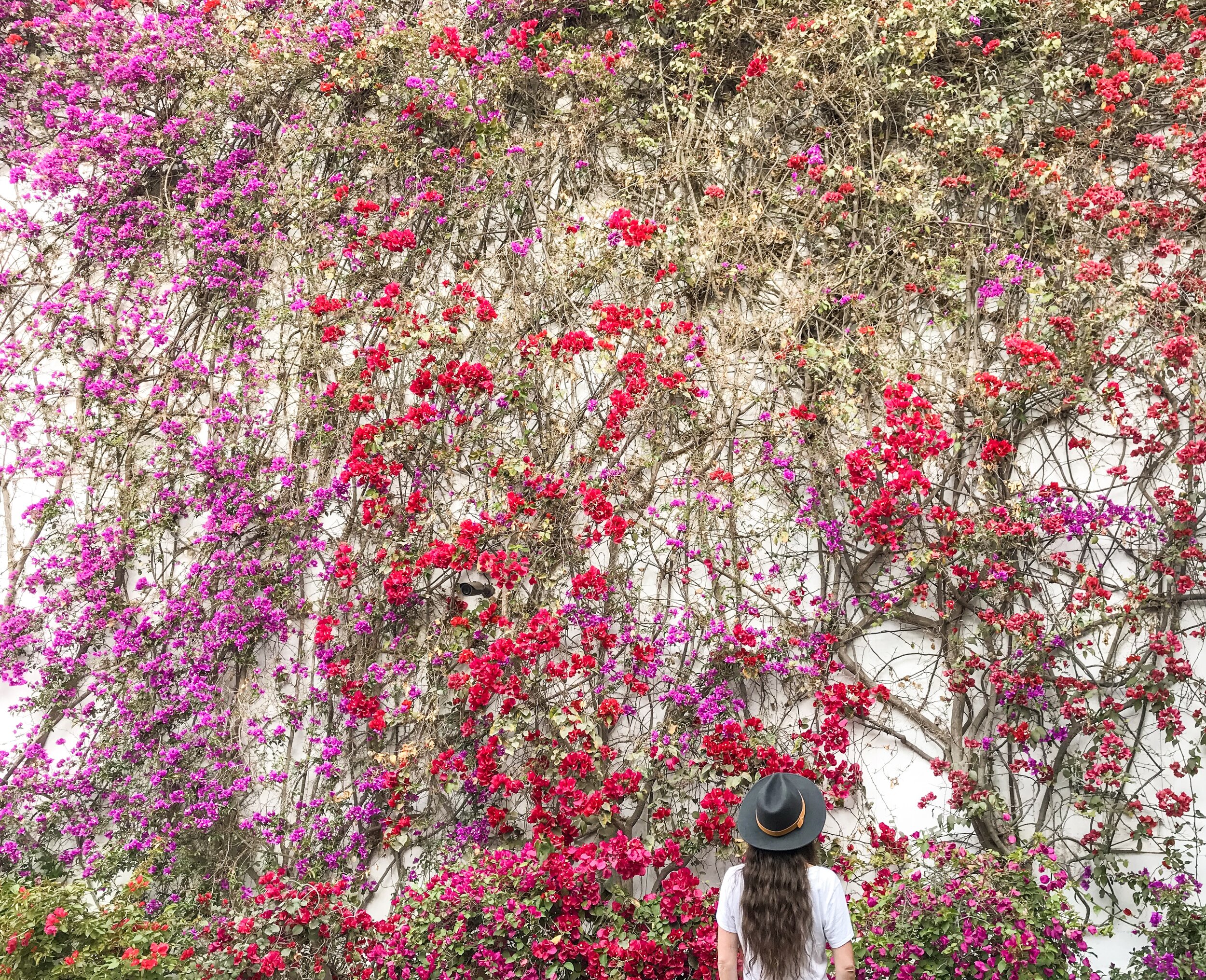 Travel Quotes...Of a Different Kind